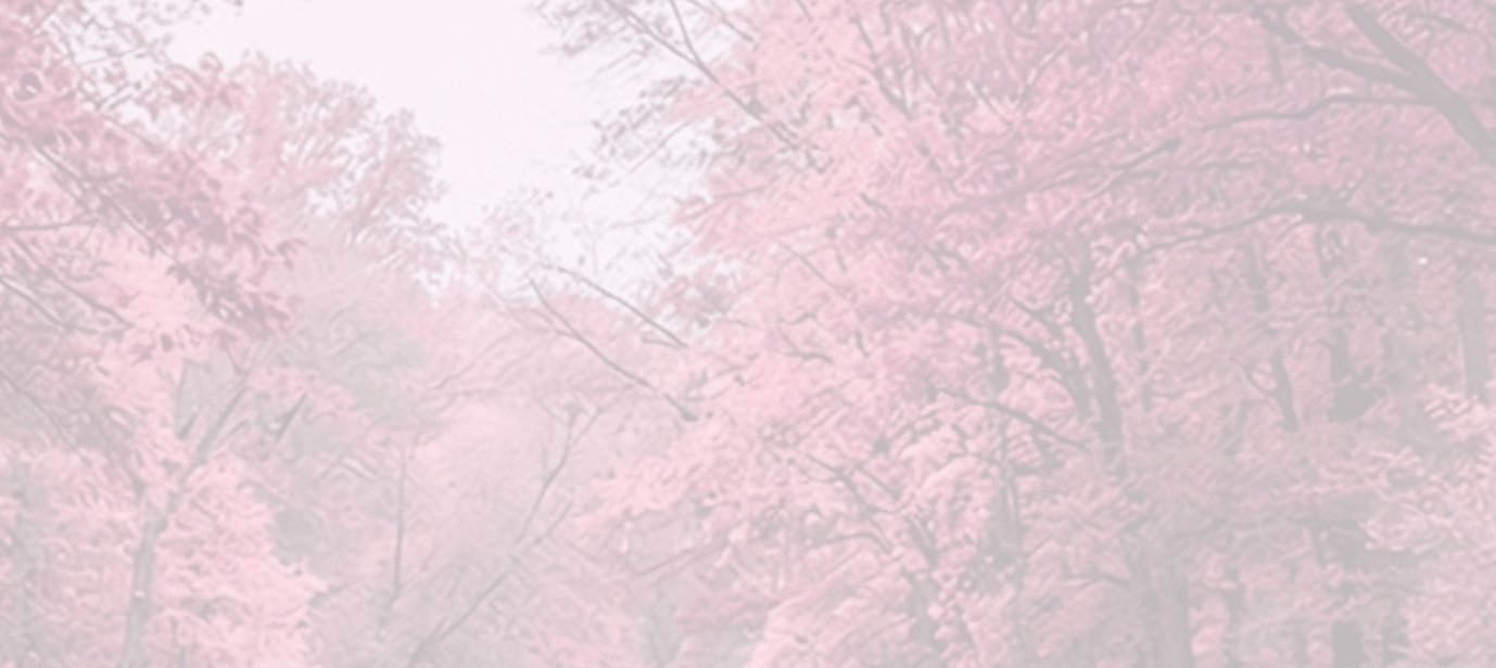 screenshot-2026-03-08-at-18.32.11.png